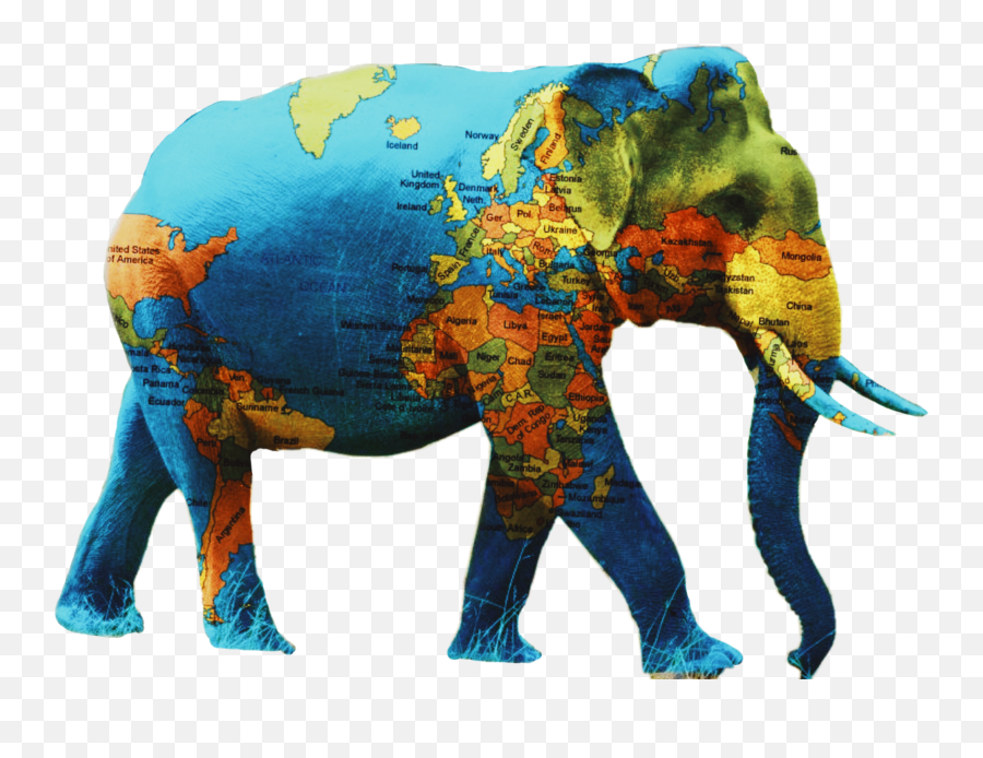 Elephant Wildanimals Sticker - Animal Figure Emoji,Emojis Earth Elephant