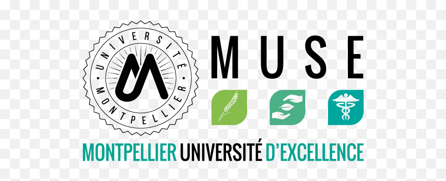 Publications - Montpellier Université D Excellence Emoji,Emonet Fine Grain Emotion