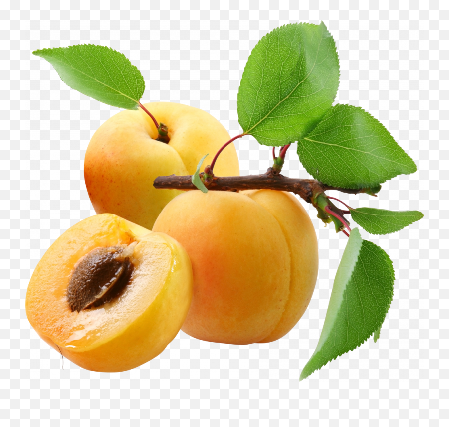 Peach Png Image High Quality Image - Abricots Png Emoji,What Does The Peach Emoji Look Like