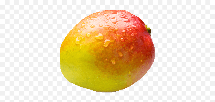 Fruits Baamboozle - Gif Image Of Mango Emoji,Transparent Mango Emoji