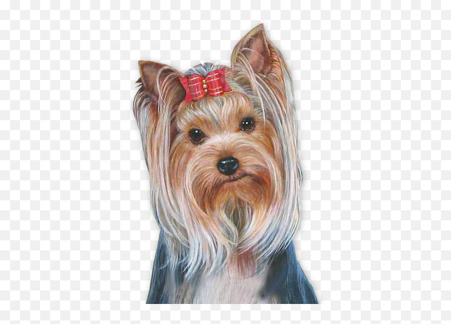 Yorkie - Png Pet Tubes Emoji,Yorkie Emojis