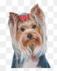 Yorkie - Png Pet Tubes Emoji,Yorkie Emojis