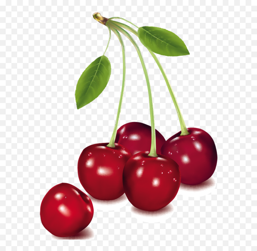 Fruits Clipart Cherry Fruits Cherry Transparent Free For - Cherry Fruit Png Emoji,Cherry Emoticon