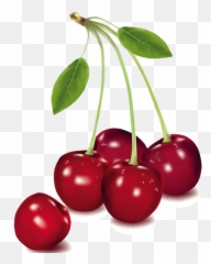 Fruits Clipart Cherry Fruits Cherry Transparent Free For - Cherry Fruit Png Emoji,Cherry Emoticon
