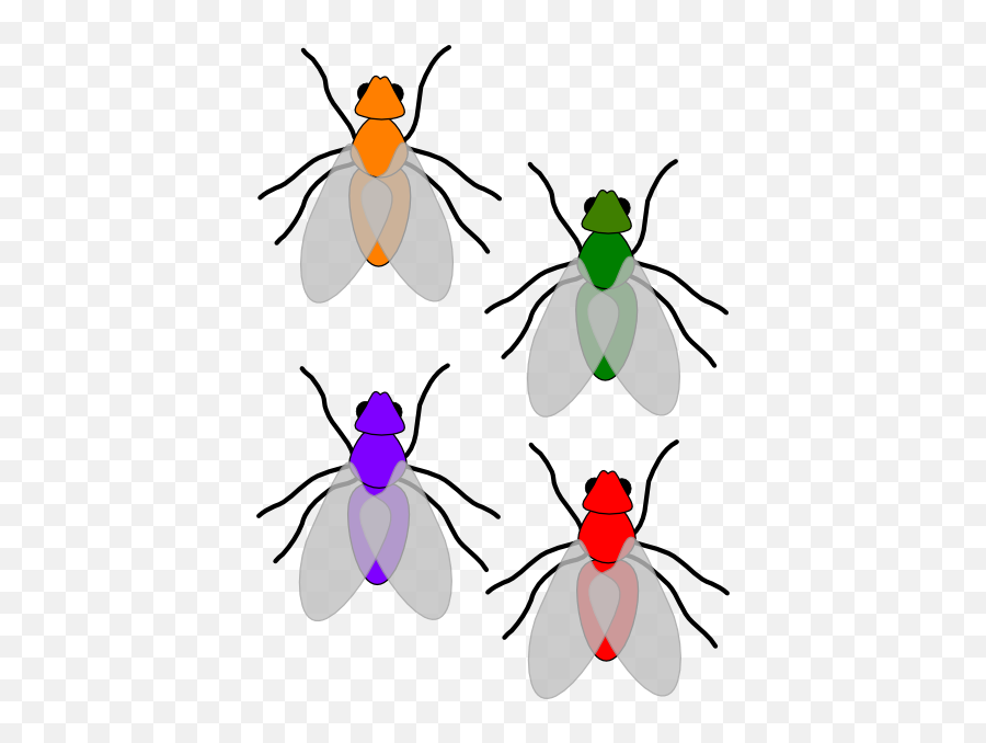 Flies Clipart Flies Transparent Free For Download On - Clip Art Emoji,Time Flies Emoji