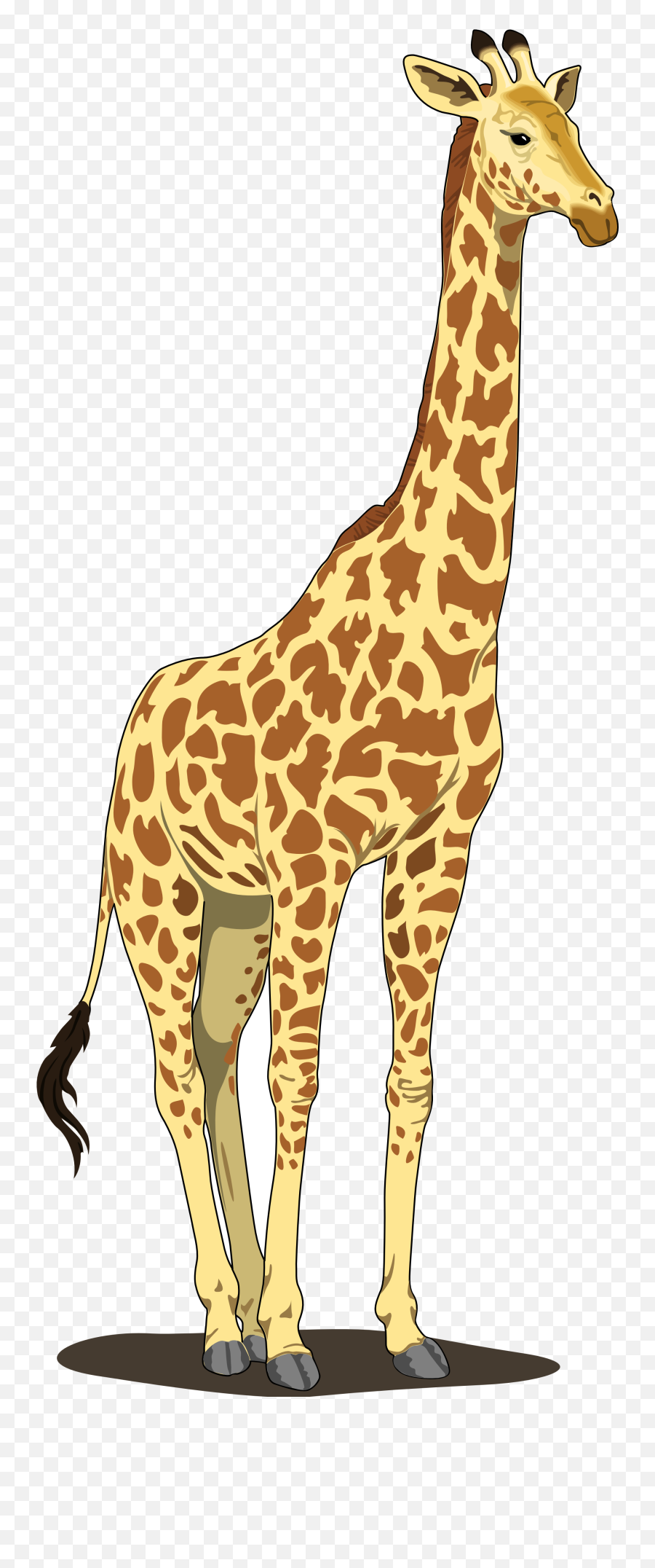 Free Giraffe Transparent Background - Giraffe Clipart Emoji,Giraffe Emoji Iphone