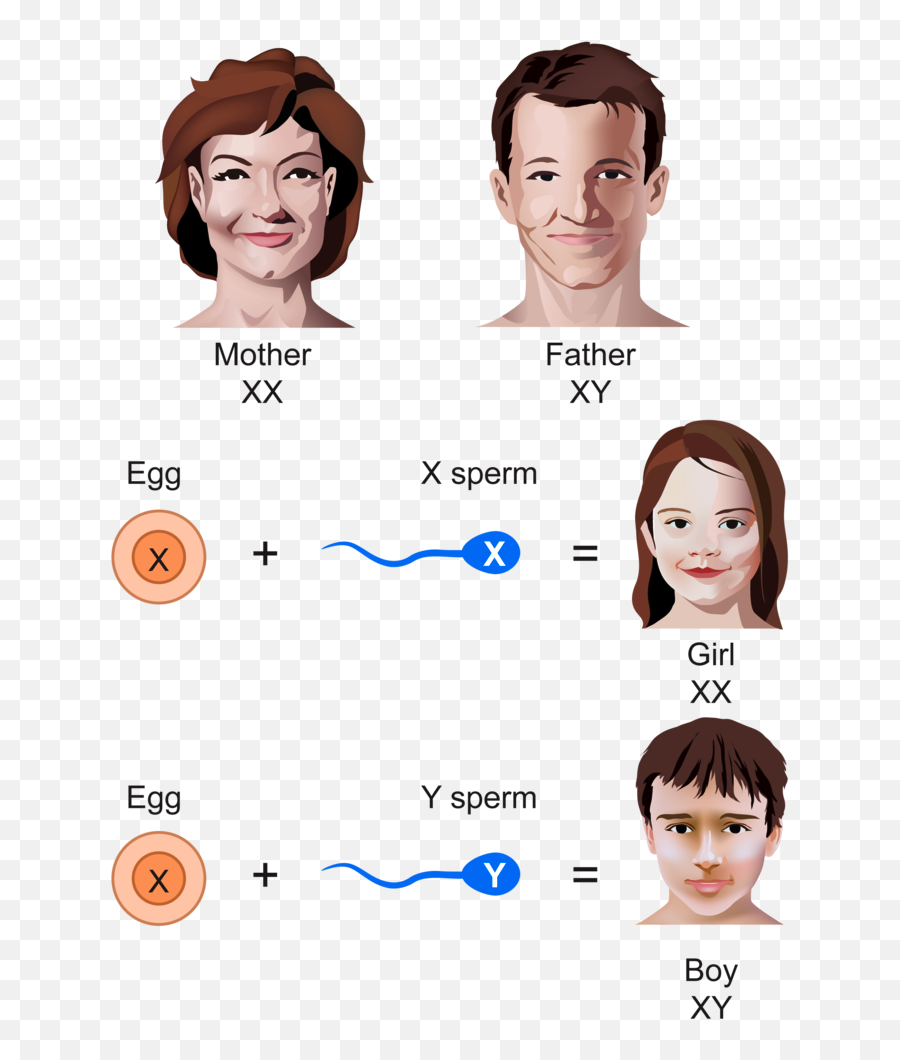 June 2015 - X Sperm On Girl Emoji,Mastering Your Emotions Creflo Dollar