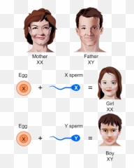 June 2015 - X Sperm On Girl Emoji,Mastering Your Emotions Creflo Dollar