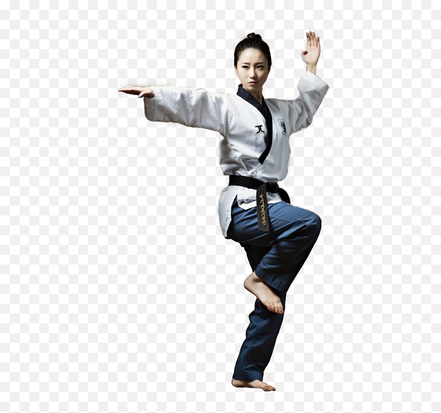 The Most Edited Martial Arts Picsart - Taekwondo Poomsae Emoji,Martial Arts Emojis