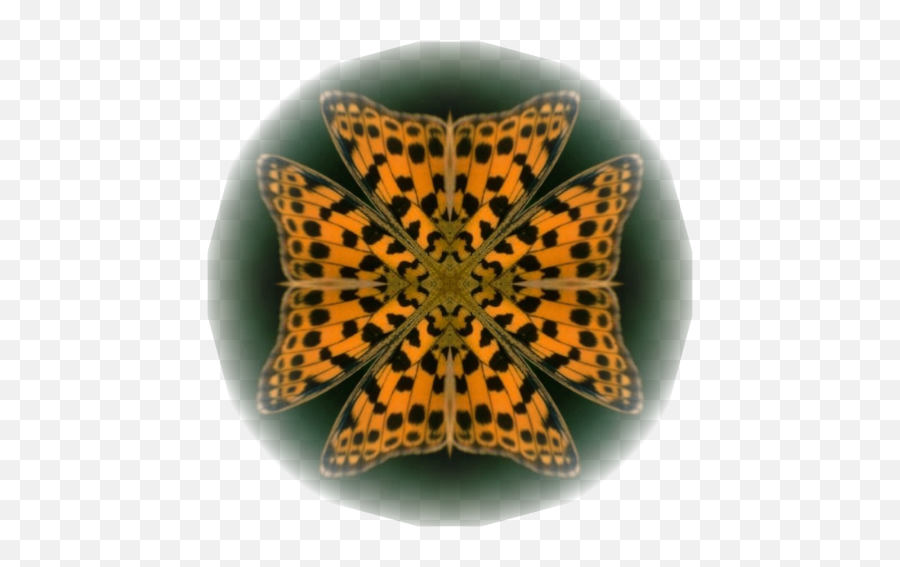 Symmetric Mandala Creator Plugin - Animal Print Emoji,Making A Community Emoticon For Deviantart 150 X150