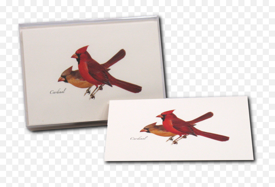Cardinal Pair Note Cards - Picture Frame Emoji,Cardinal Bird Facebook Emoticon