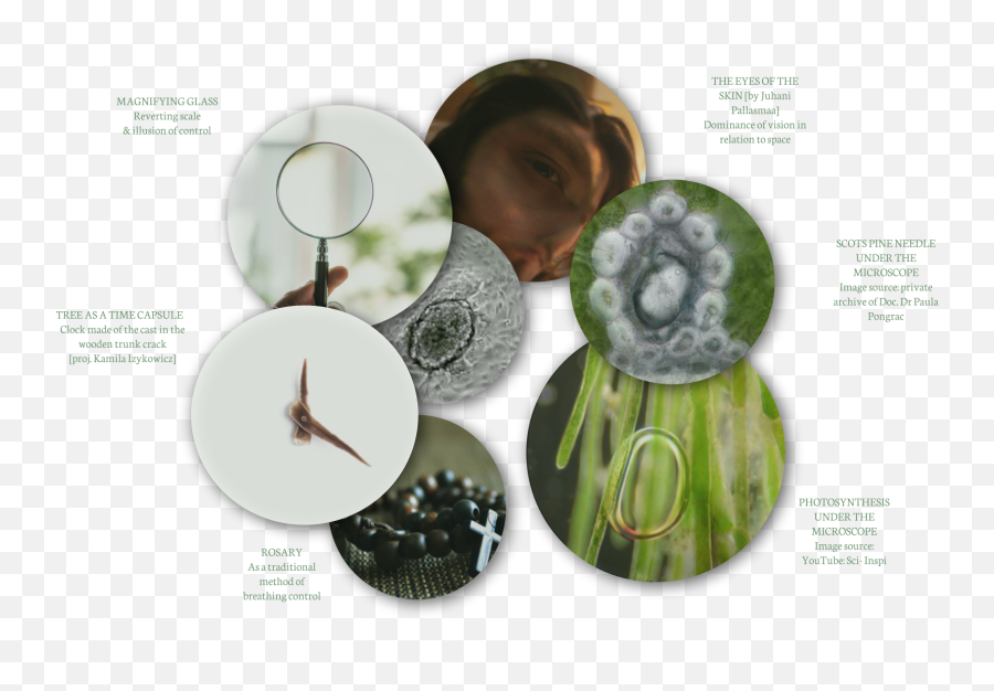 About - Aura Forest Emoji,Emotion Aura About - Aura Forest Emoji,Emotion Aura