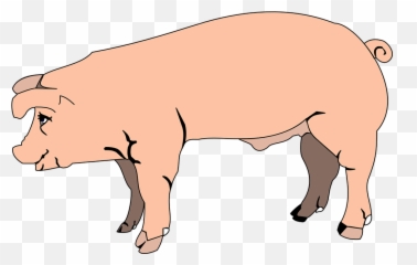 Cute Pig Png Hd Transparent Cute Pig Hd - Male Pig Clipart Emoji,Cute Pig Emoticon