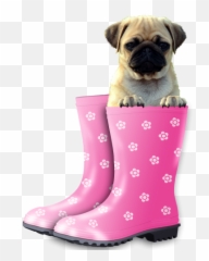 Funny Pug Tongue Twister Public Domain Image - Freeimg Emoji,Pug Emoticon Faces