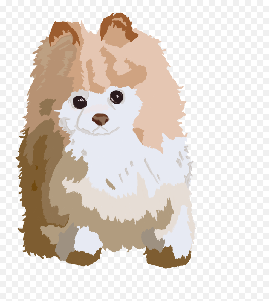 110 Exploring Image Pomeranian Ideas Pomeranian Emoji,Husky Dog Emotions