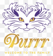 Home - Purrr Emoji,Which Emotion Are You Today White Cat