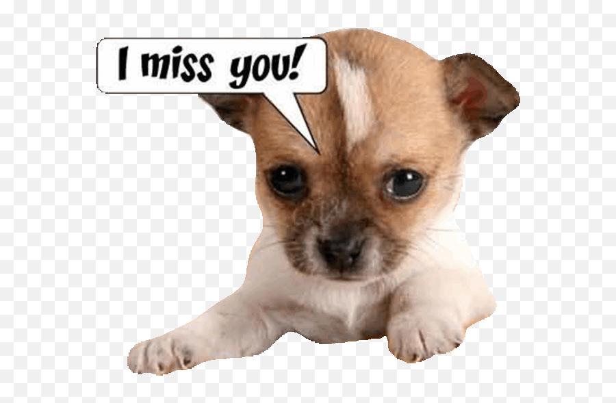 Cartoon Sad I Miss You Page 1 - Line17qqcom Miss You Gif Dog Emoji,I Miss You Emoji
