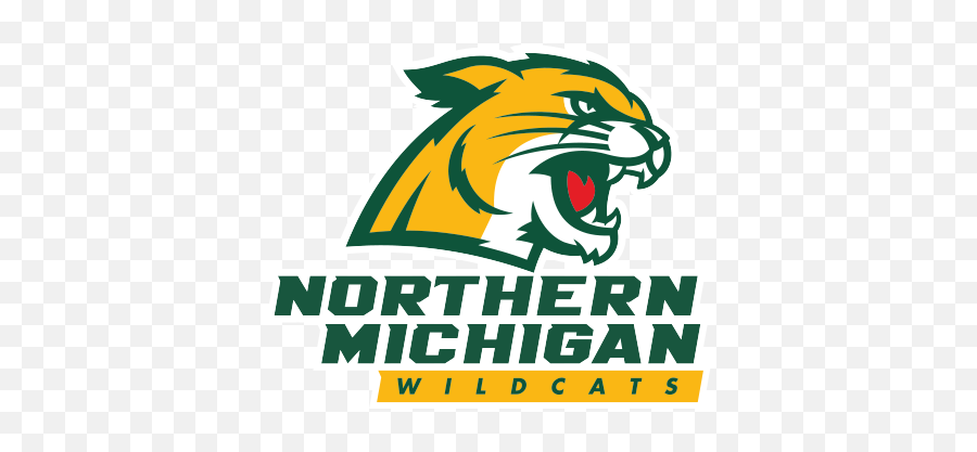 My Reaction To The New Nmu Logos - Northern Michigan University Wildcats Emoji,Olympic Torch Emoji