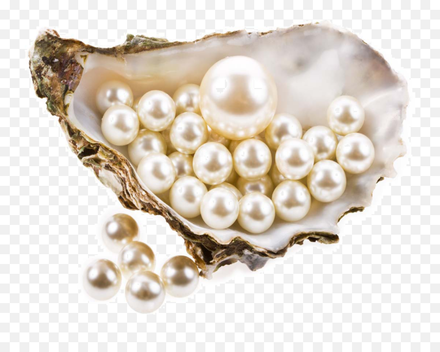 Mq Pearls Pearl Seashell Sticker By Marras - Biotique Facial Kit Emoji,Pearls Emoji