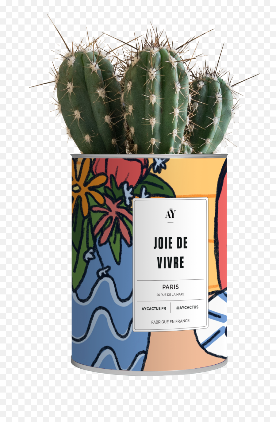 Joie De Vivre - San Pedro Cactus Emoji,Cactus Emojis