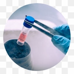 Egg Freezing In Phoenix Arizona - Stem Cells Cryopreservation Equipments Emoji,I Dont Wamt Anyone Frozen Emotion
