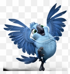 Rio Characters - Carla Di Rio 2 Emoji,How Birds Show Emotions