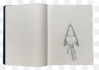 Franku0027s Corpus Open Space - Blank Emoji,Drawing Simpler Emotion