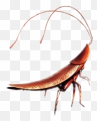 The Most Edited - Hal Wall E Png Emoji,Cockaroch Emoji