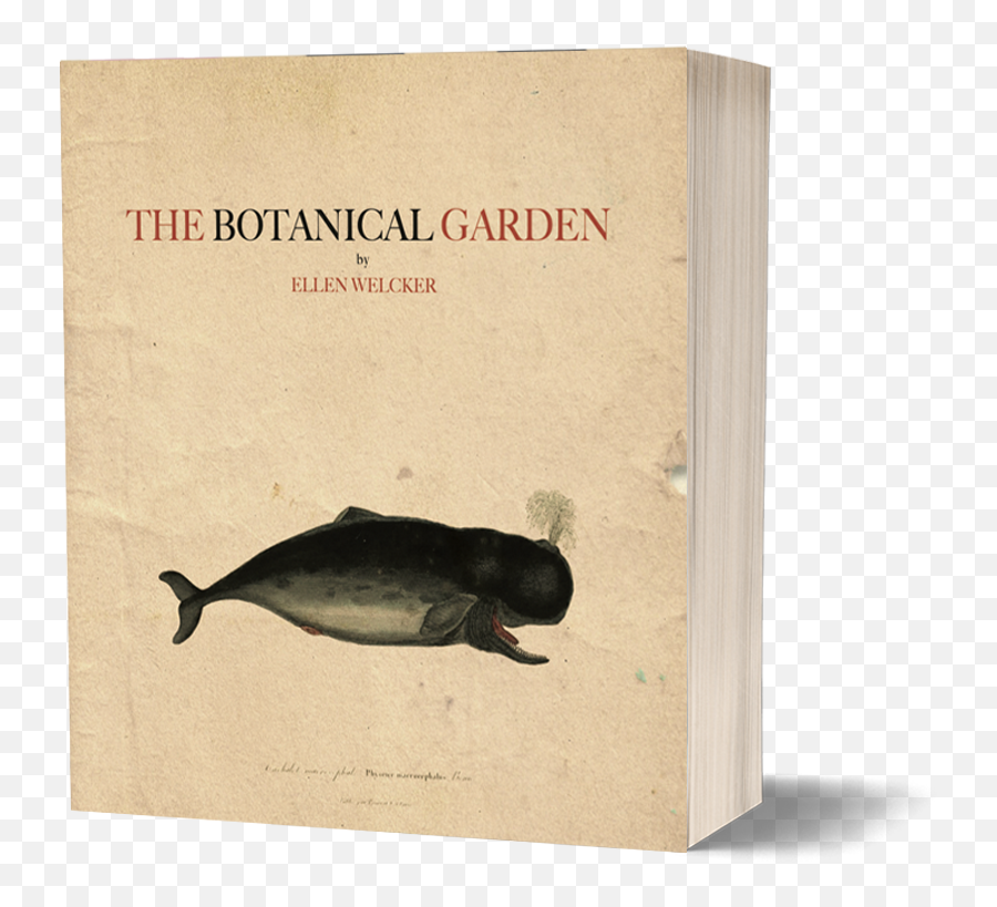 Store U2014 Astrophil Press Emoji,Logic Over Emotion Forgotten Books