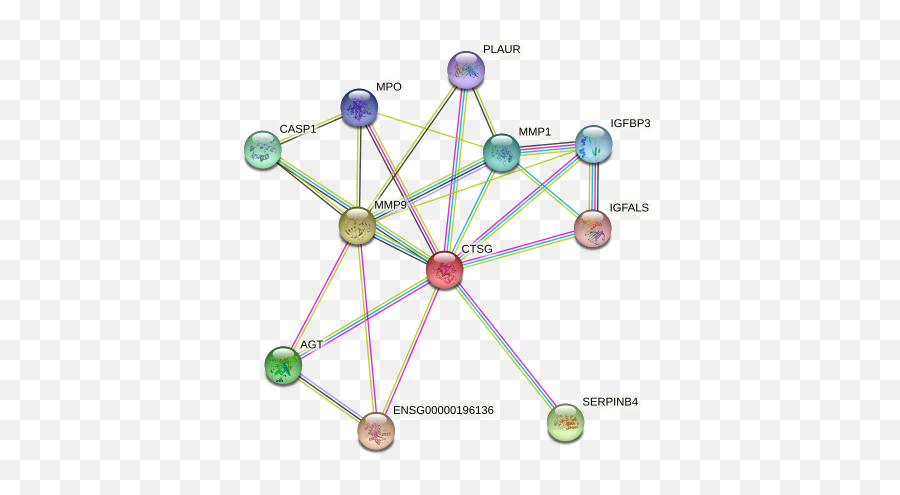 Ctsg Protein Human - String Interaction Network Emoji,Agt Secrete Emotion