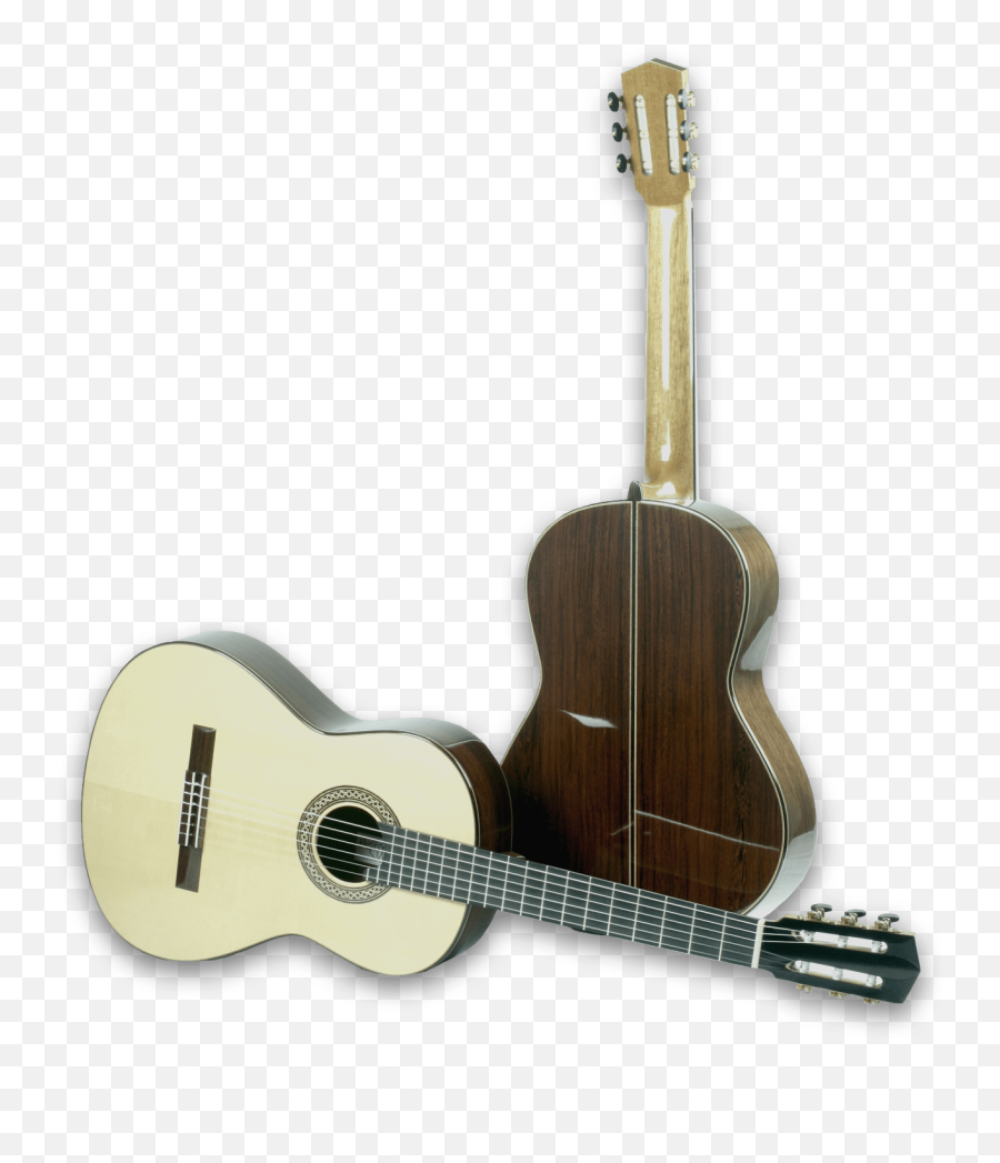 Elias Bonet Luthier Emoji,Emotion Borns Guitar