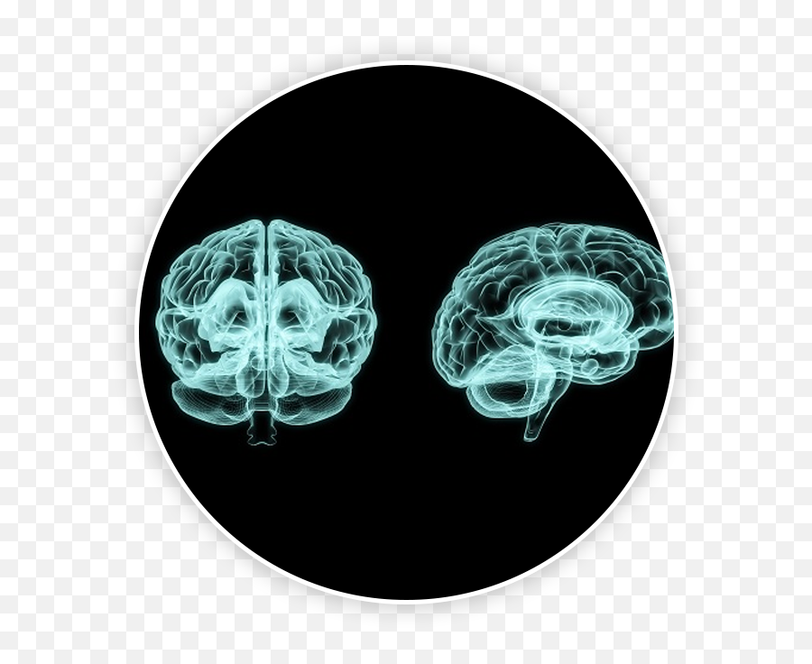 Proving A Traumatic Brain Injury - Brotman Nusbaum And Ibrahim Green Cross Emoji,Parts Of The Brain That Control Emotion