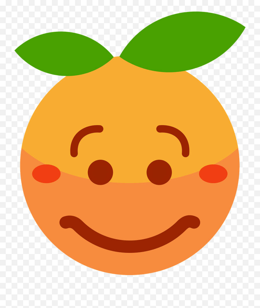 Clementine Orange Cartoon - Orange With A Face Drawing Emoji,Cartoon Emotions