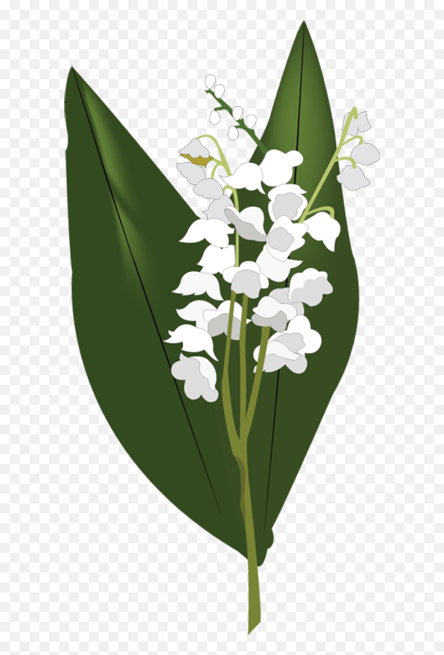 Lily Of The Valley Png Hd Png Svg Clip Art For Web - Transparent Lily Of The Valley Flower Emoji,Lily Pad Emoji