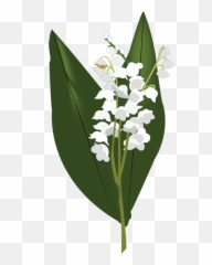 Lily Of The Valley Png Hd Png Svg Clip Art For Web - Transparent Lily Of The Valley Flower Emoji,Lily Pad Emoji