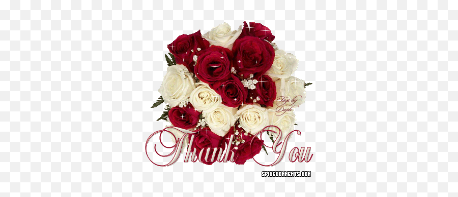 Thanks Comments For Facebook Twitter And Myspace - Thank You And Rose Gif Emoji,Facebook Flower Emoticons