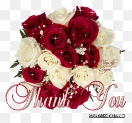 Thanks Comments For Facebook Twitter And Myspace - Thank You And Rose Gif Emoji,Facebook Flower Emoticons