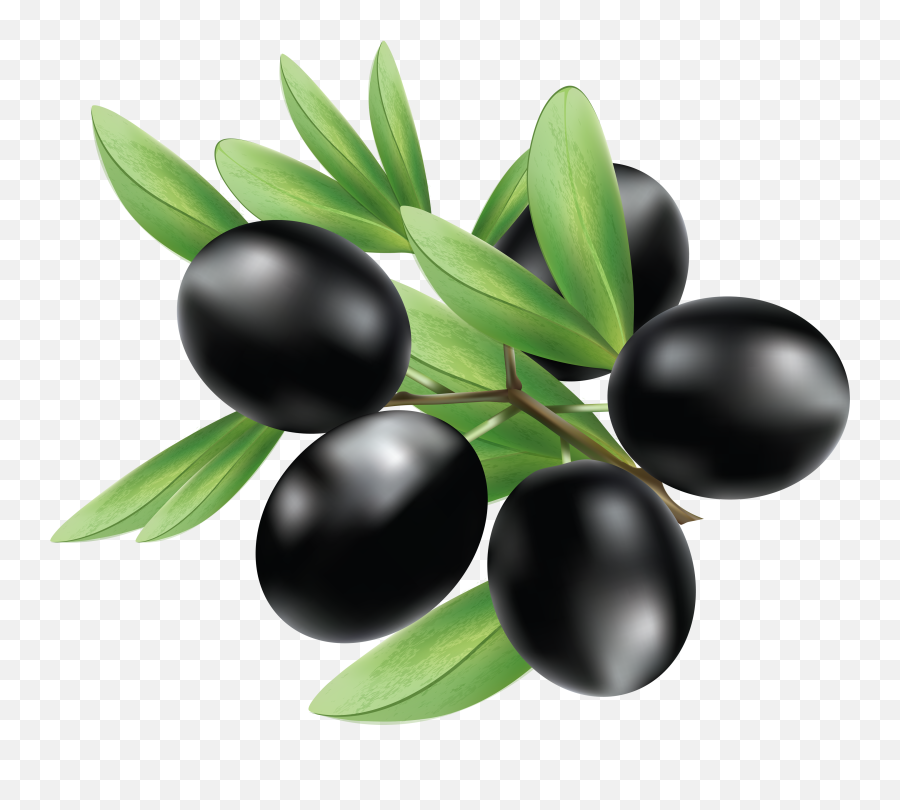 64 Olive Png Images Free To Download - Black Olives Png Emoji,Olive Emoji