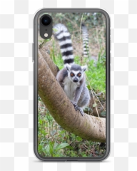 Handyhülle Affen Bande Samsung Galaxy - Iphone Emoji,Emoji Iphone 5c Case Ebay