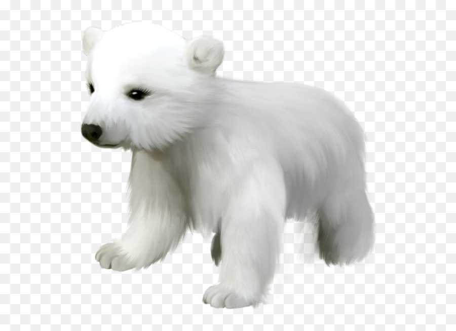 Cute Small Polar Bear Png Clipart Png - Transparent Baby Polar Bear Png Emoji,Kik Polar Bear Emoji