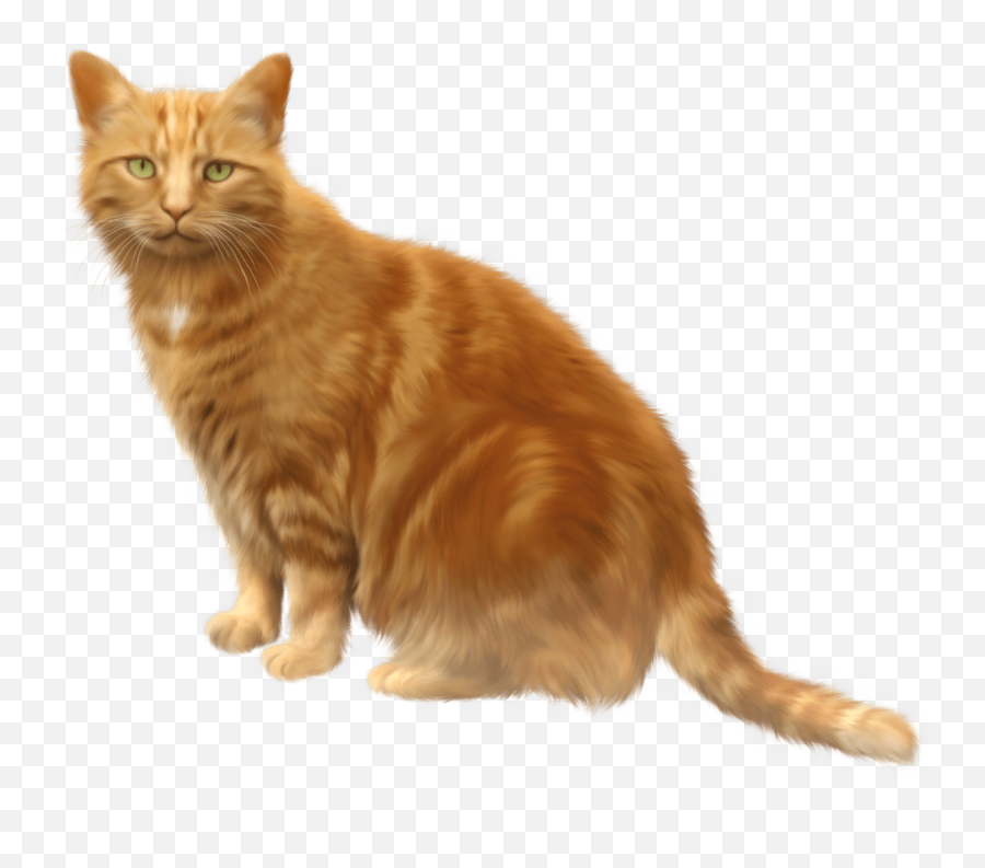 Curled Up Cat Clip Art Transparent Background - Vtwctr Orange Cat Transparent Background Emoji,Cat Emoji With Black Background