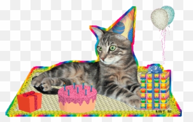 Cats Birthday Gifs - Cat Happy Birthday Transparent Emoji,Happy Birthday Emoticons Free