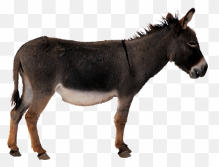 Donkey Clipart Transparent Background - Donkey Transparent Donkey Png Emoji,Donkey Kong Emojis