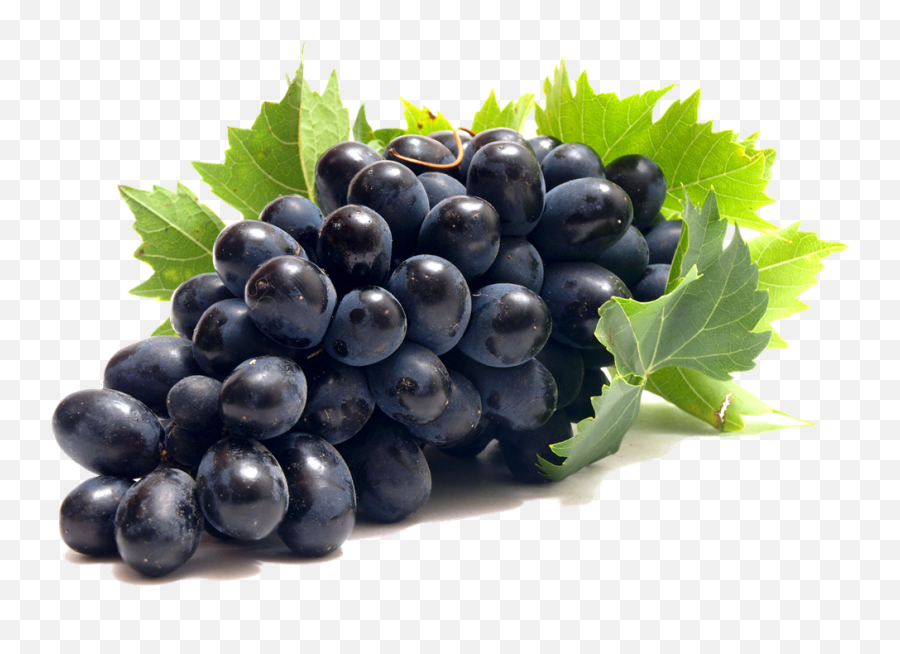 Fresh Black Grapes Transparent Png - Black Grapes Png Emoji,Black Grapes Emoji