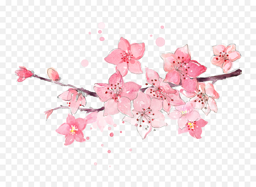 Cherry Blossom Painting Watercolor - Png Cherry Blossoms Clipart Watercolor Emoji,Haruno Sakura Emojis