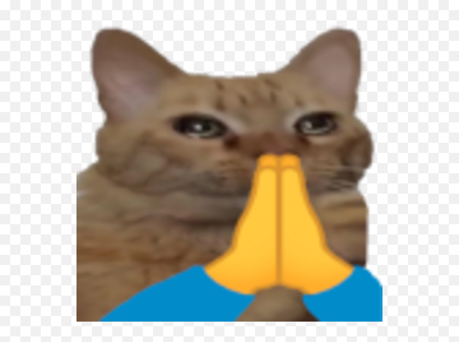 Cat Prayge Prayge Know Your Meme Emoji,Brown Prayer Emoji