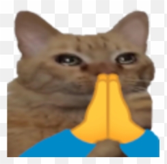 Cat Prayge Prayge Know Your Meme Emoji,Brown Prayer Emoji