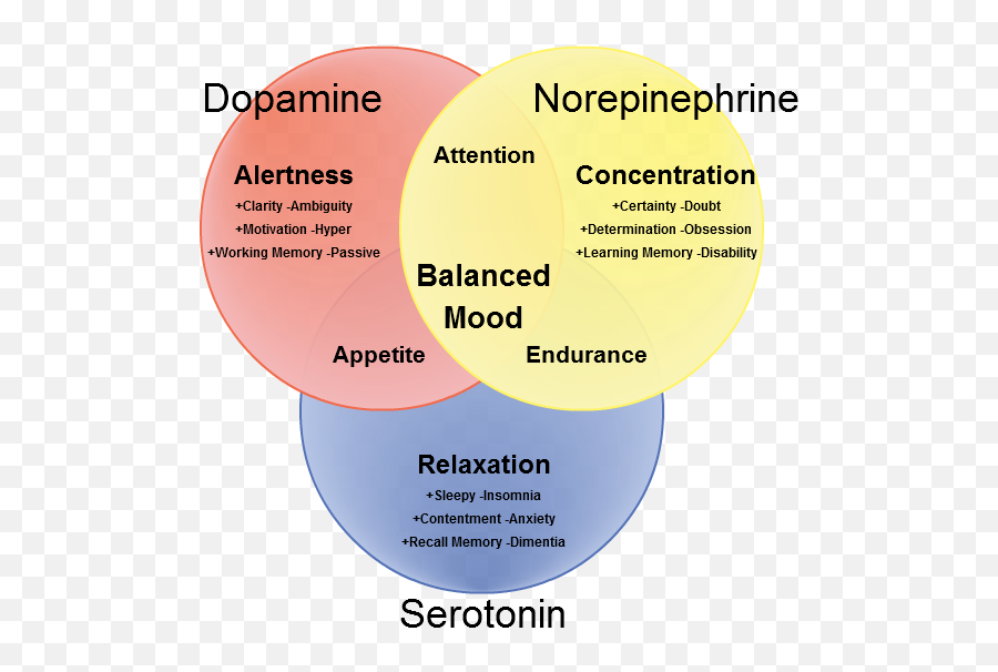 Physiological Bases Of Behavior - Dopamine Norepinephrine And Serotonin Emoji,Dopamine Emotion