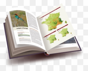 357 Species Of French Birds - Horizontal Emoji,How Birds Show Emotions