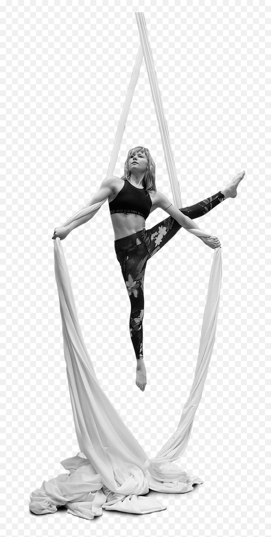 Cirque De Silk U2013 Discover The Joy Of Aerial Arts - Static Trapeze Emoji,Hoyle Emoticon